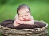 Babies: Newborns