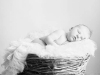 newborn_14