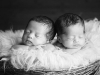 newborn_34