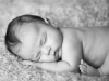 newborn_40