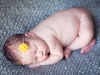 newborn_47