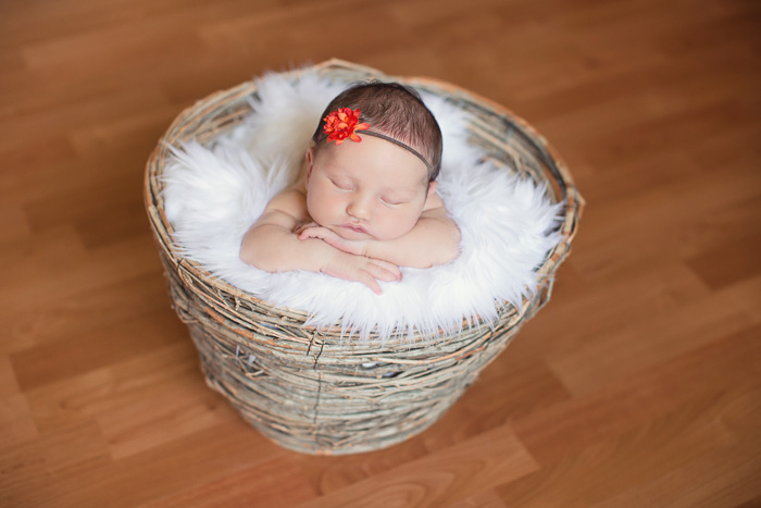 houston, newborn, photography, photographer, kelli nicole photography, baby, family, lifestyle, posed, pictures, photos, picture, photo, photographs, props, baskets, girl, vera, 